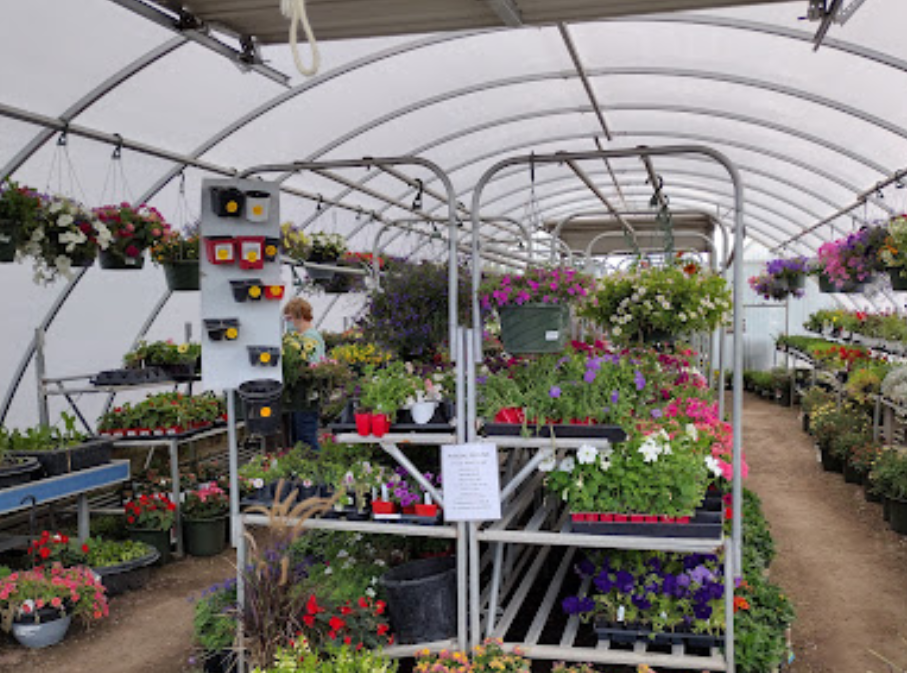 Harding Nursery colorado springs