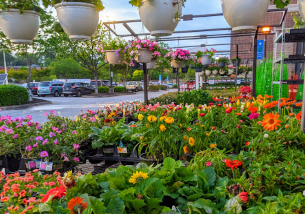 Lowes Garden Center atlanta