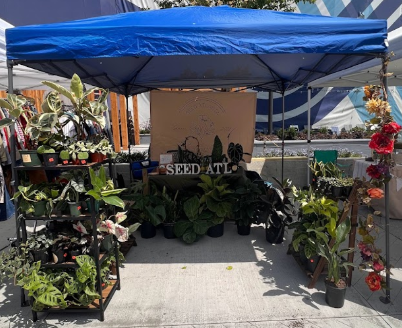 Seed Atlanta tienda plantas