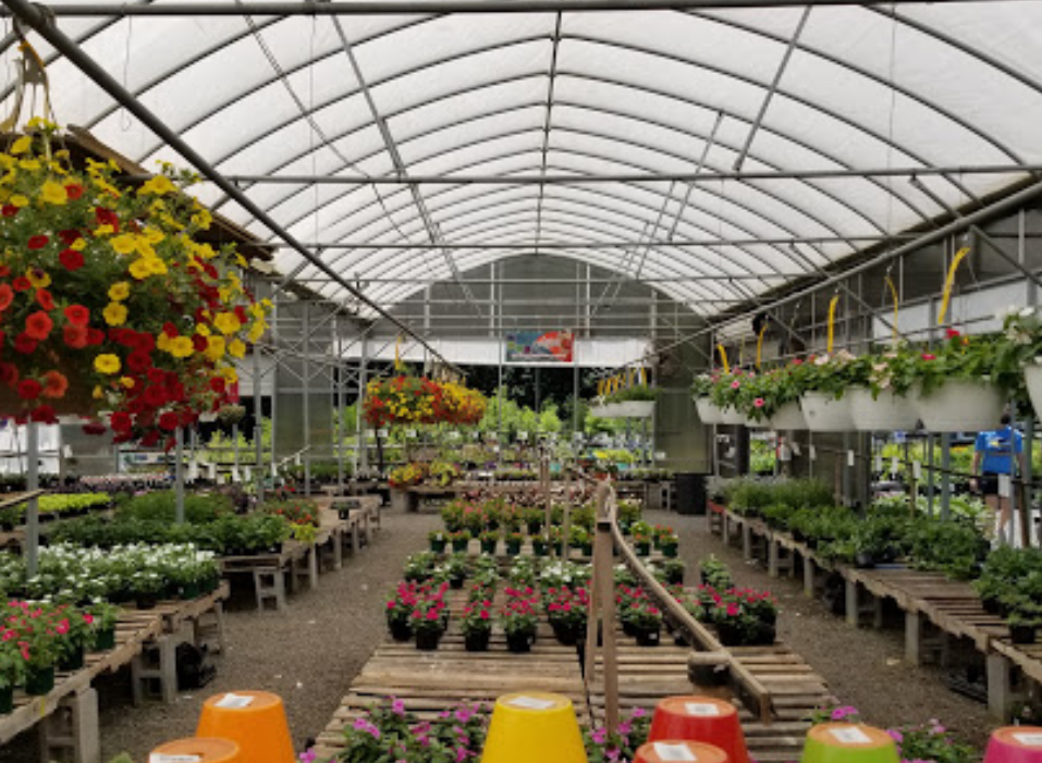 Meadows Farms Nurseries and Landscape manassas virginia