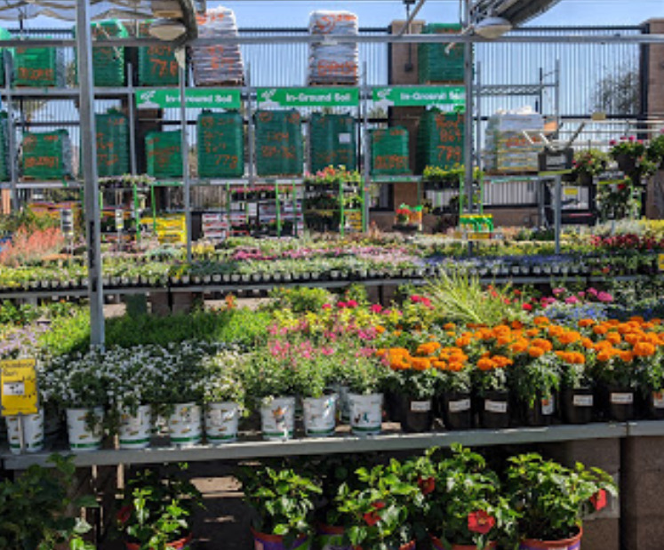 garden center at the home depot phoenix arizona