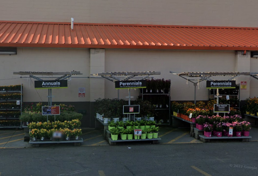 garden center at the home depot queens nueva york