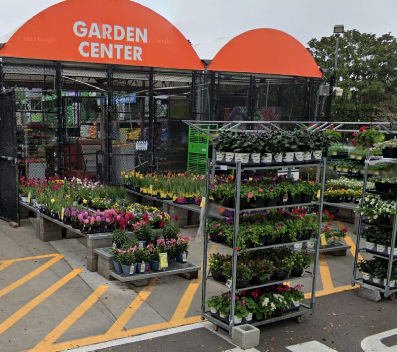 garden center at the home depot savannah georgia