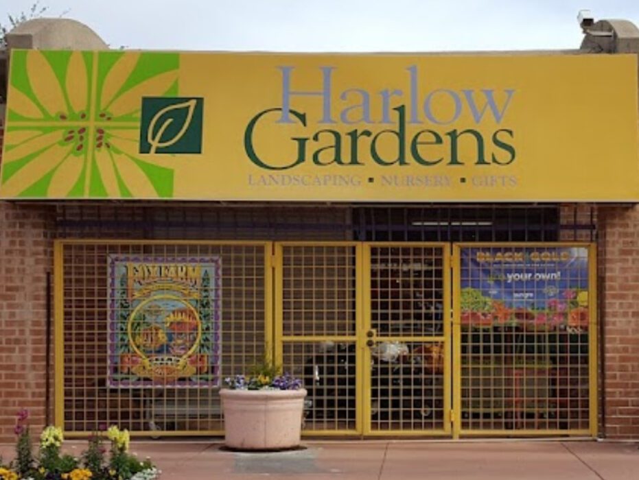 harlow gardens vivero tucson arizona