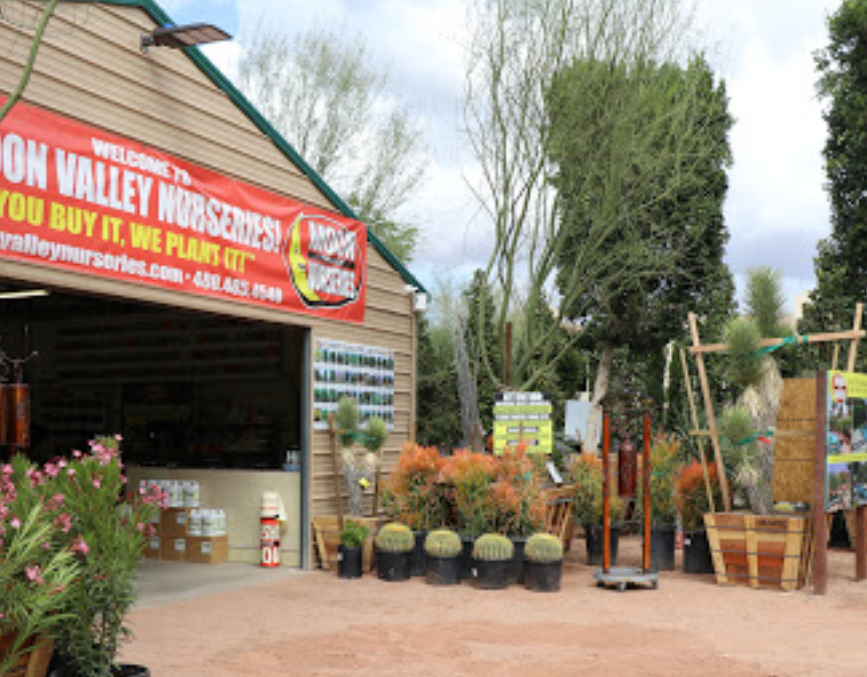 moon valley nurseries phoenix arizona