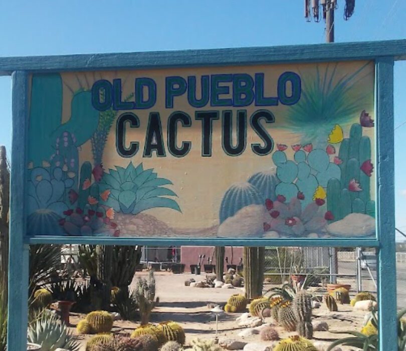 old pueblo cactus vivero tucson arizona