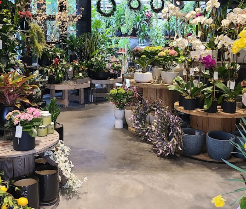 queens garden nursery queens nueva york