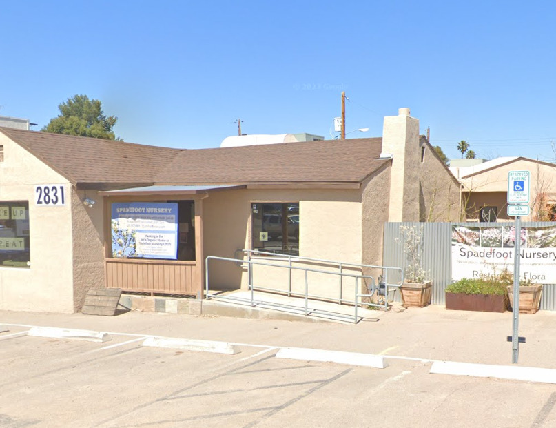 spadefoot nursery tucson arizona