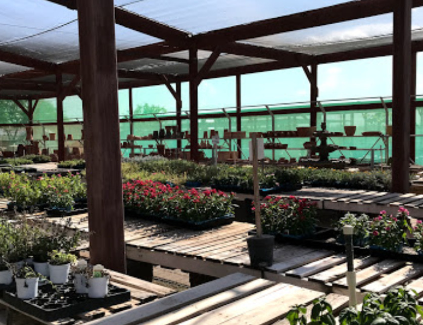 yuma nursery supply yuma arizona