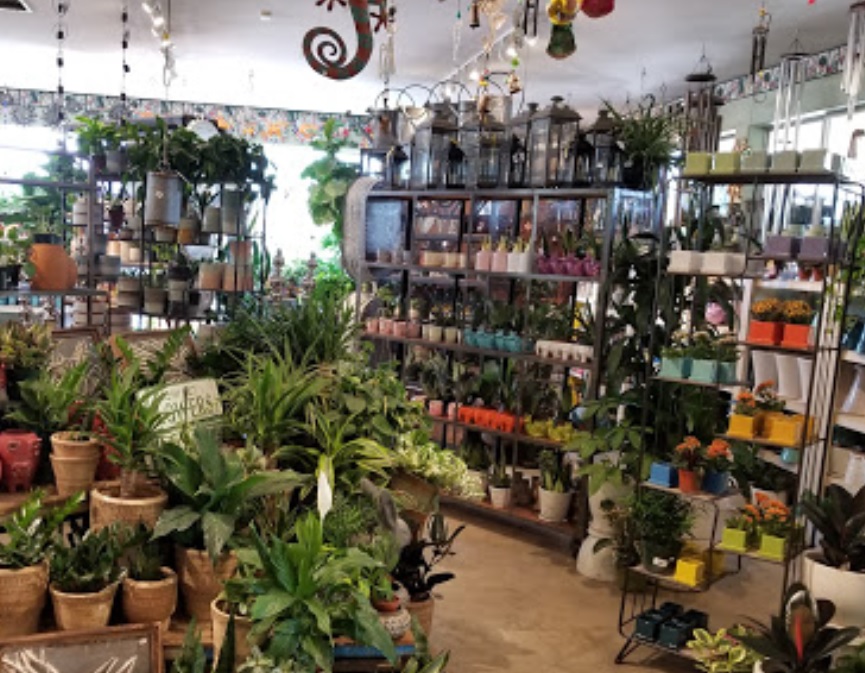 evergreen garden center inc california