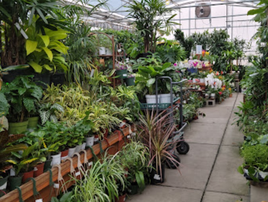 green acres nursery and supply california