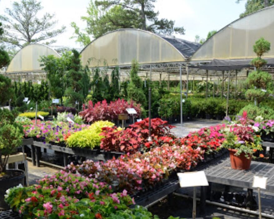 indian creek wholesale nursery alabama