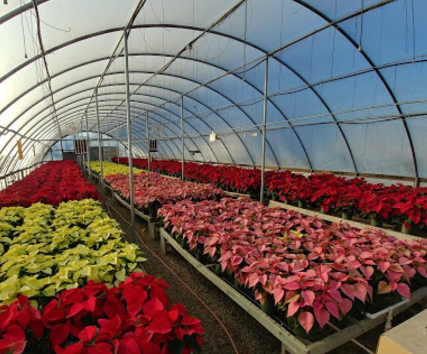 sunshine acres greenhouses and garden center arkansas