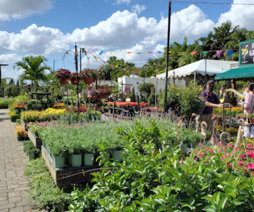 flamingo road nursery florida