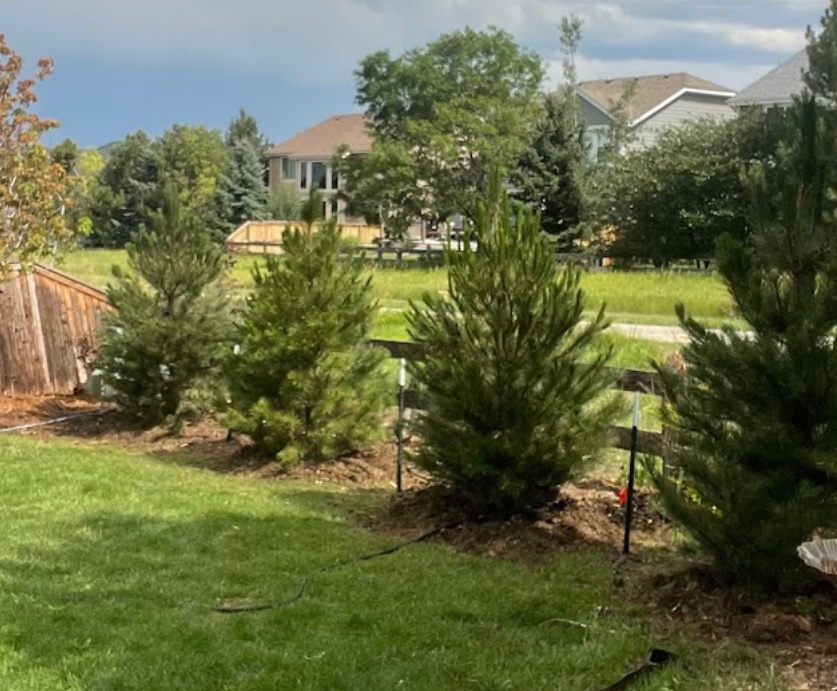 front range landscape and nursery