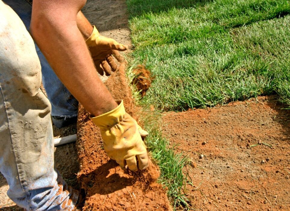 servicio de instalacion de cesped