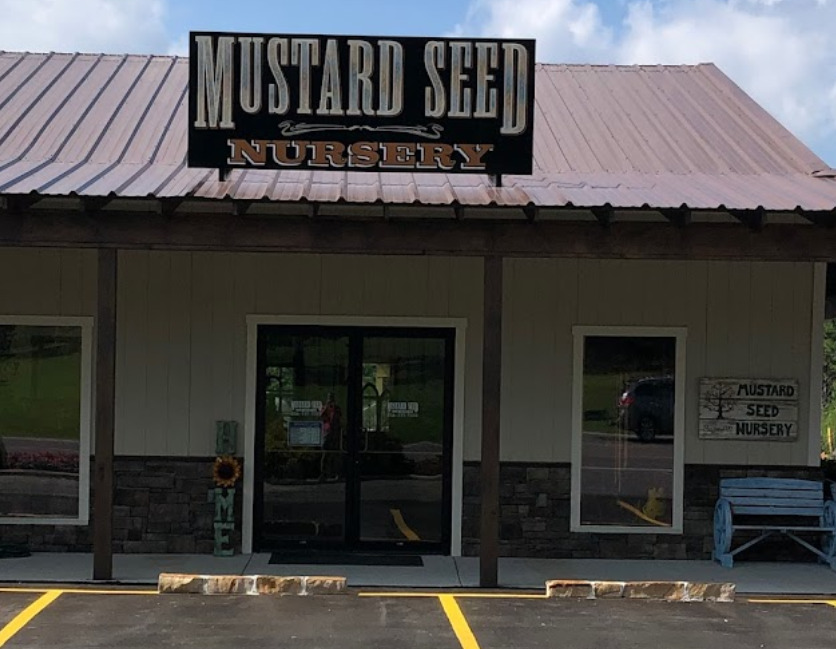 mustard seed nursery cullman