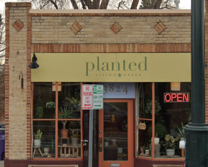 planted tienda de plantas denver