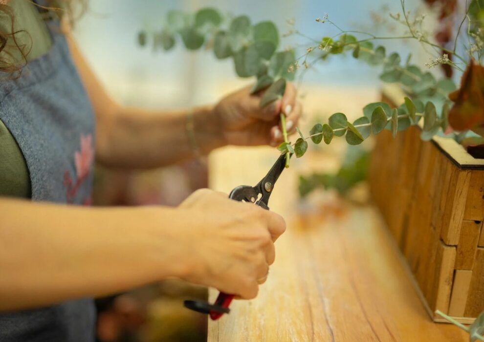 taller de jardineria en un vivero