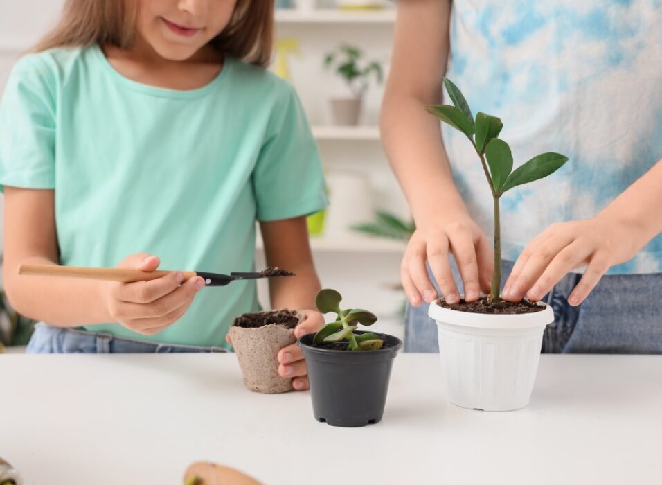 taller de jardineria para niños y familias en vivero