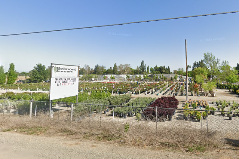 belmont nursery fresno