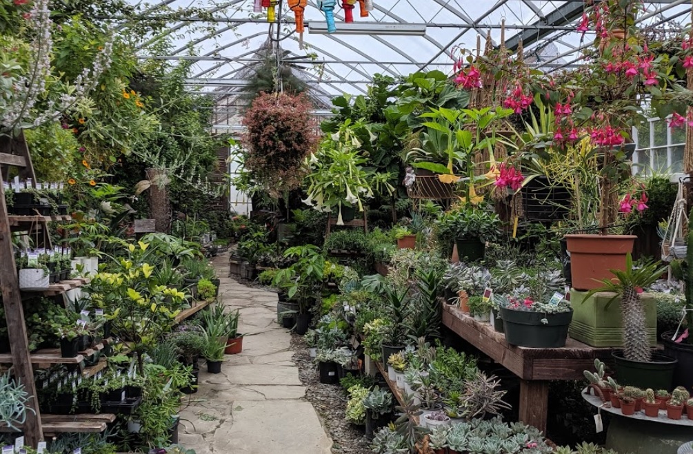bountiful gardens nueva jersey