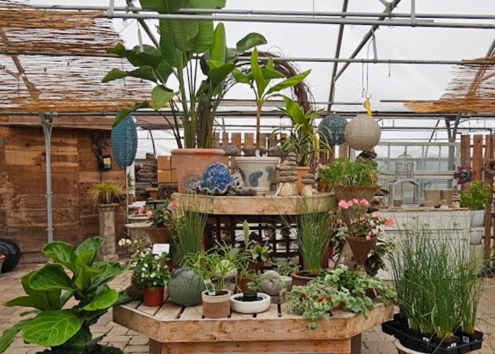 calgo gardens nueva jersey
