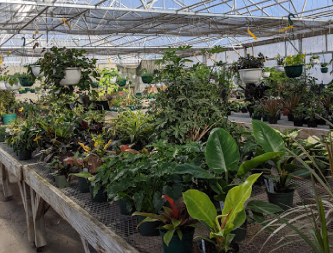 creekside garden center fort collins