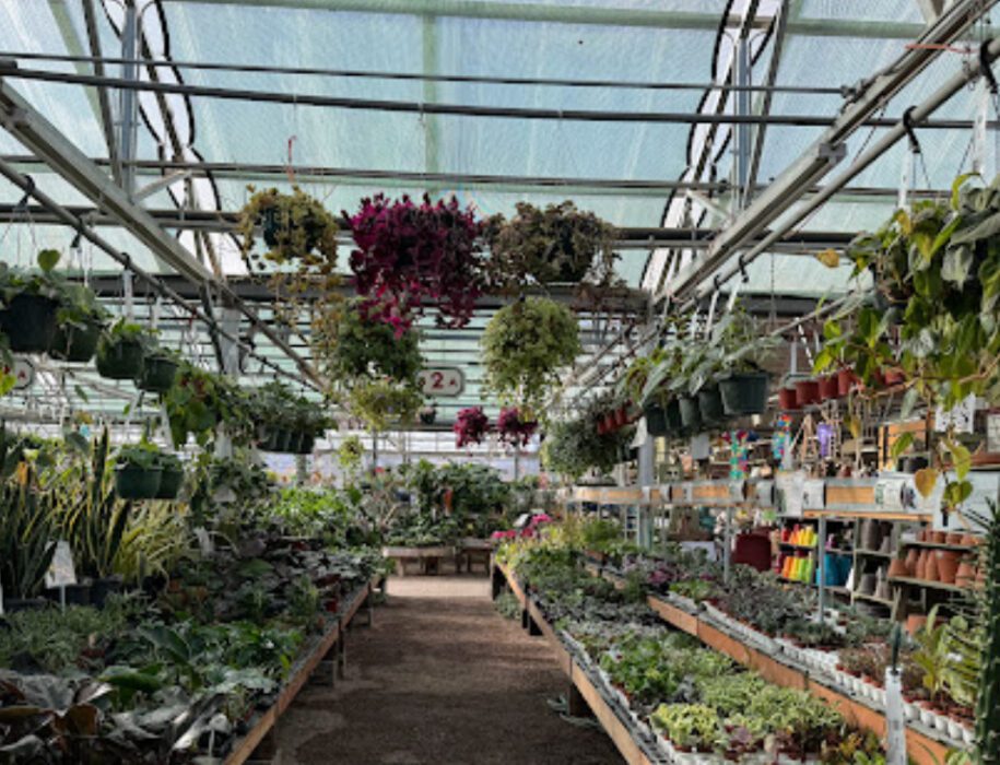 fort collins nursery