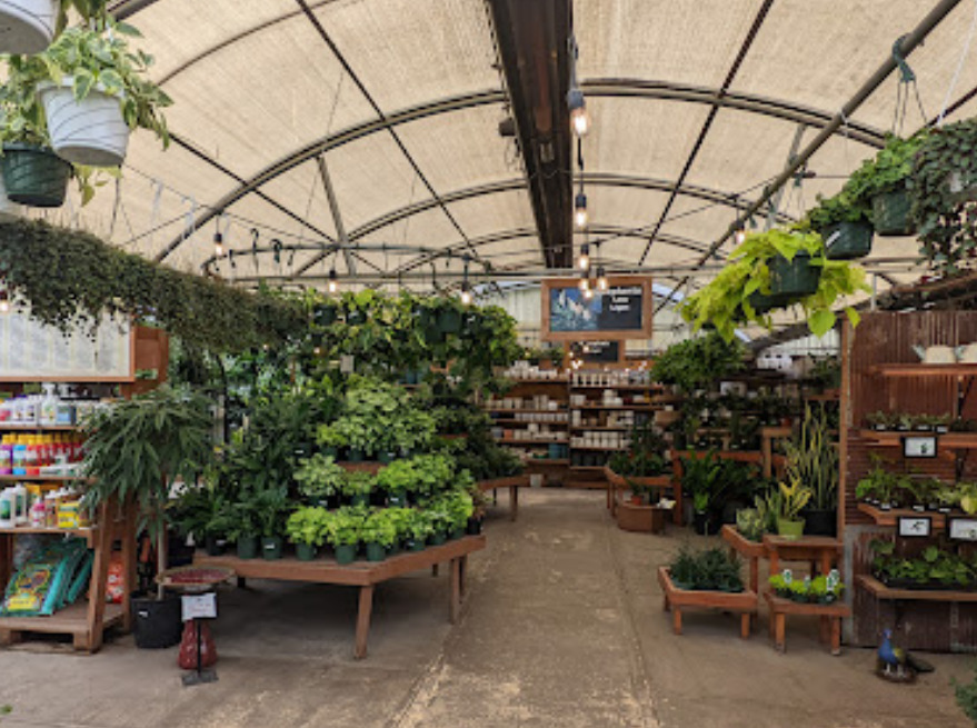 gulley greenhouse and garden center fort collins