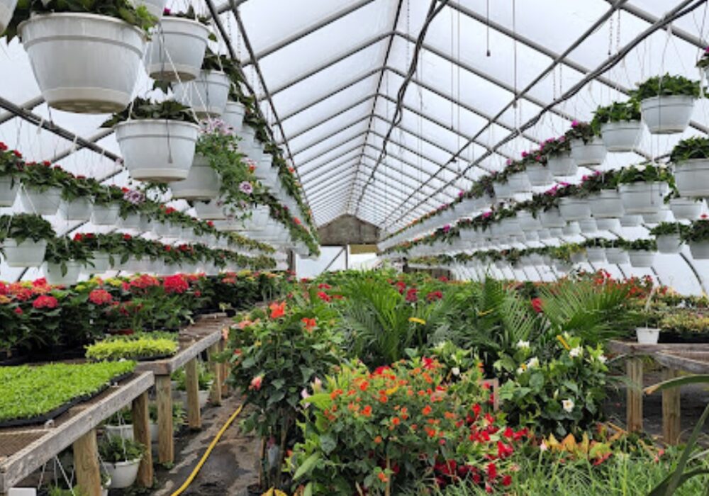 platts farm market nueva jersey
