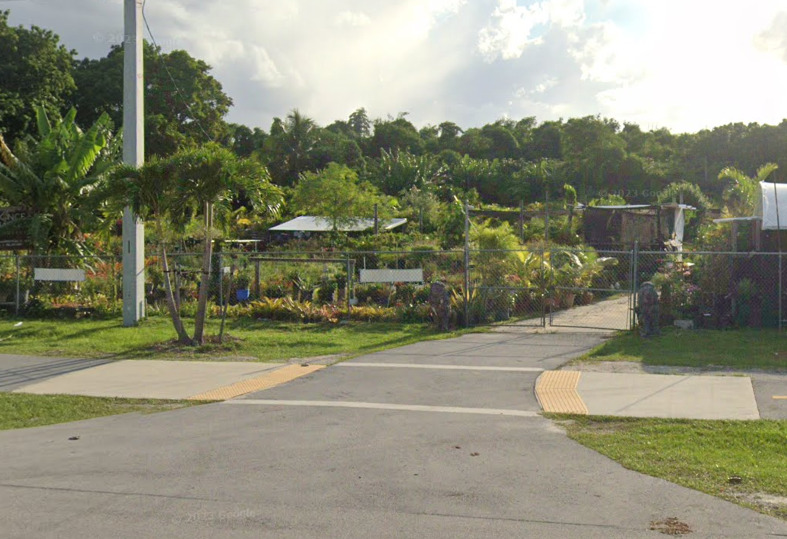 ponce and marquez nursery homestead