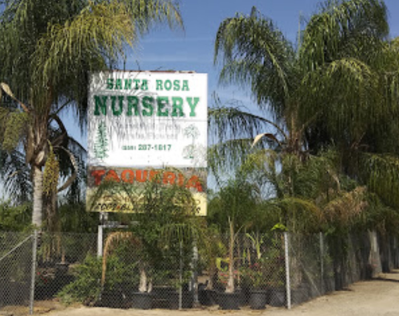 santa rosa nursery fresno