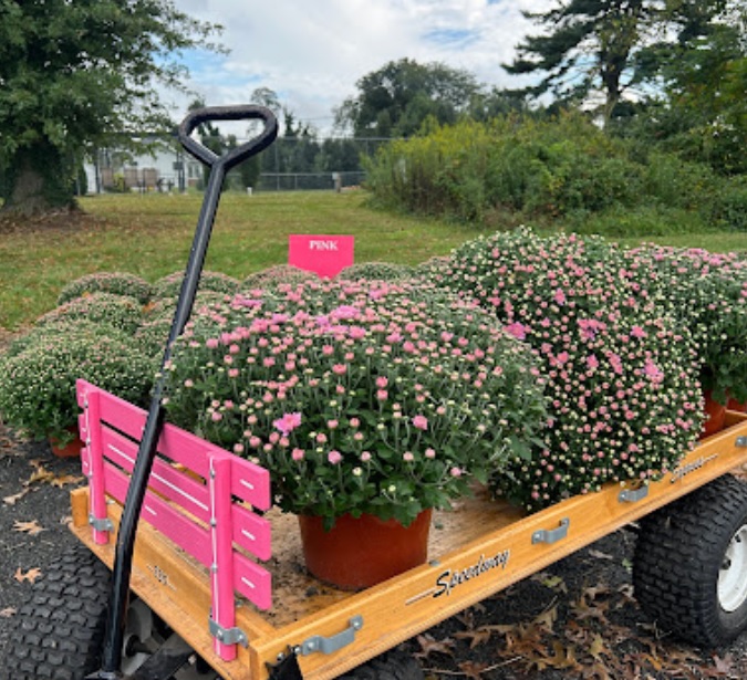 speccas nursery nueva jersey