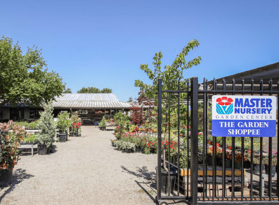 the garden shoppee nursery lodi california