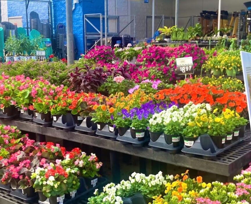 walmart garden center florida