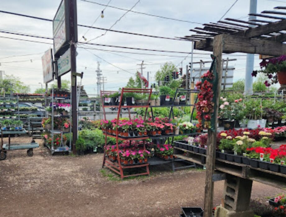 better gro garden center nueva york