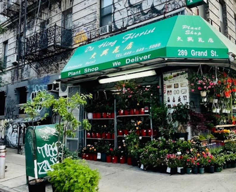 dahing plants nueva york