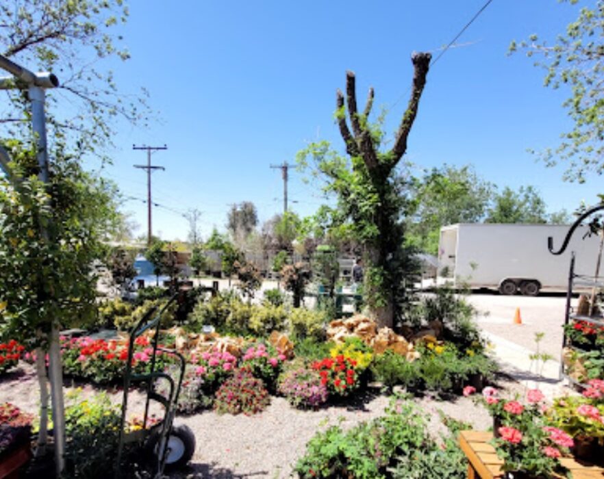 guzmans garden centers nuevo mexico