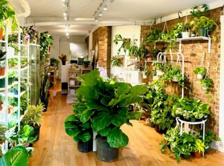living with green nueva york