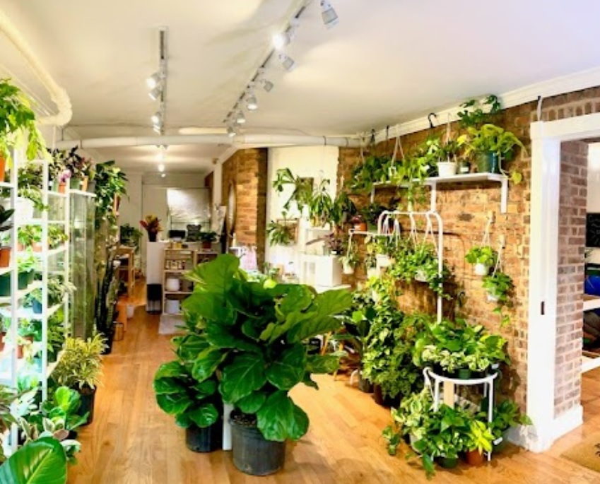 living with green nueva york