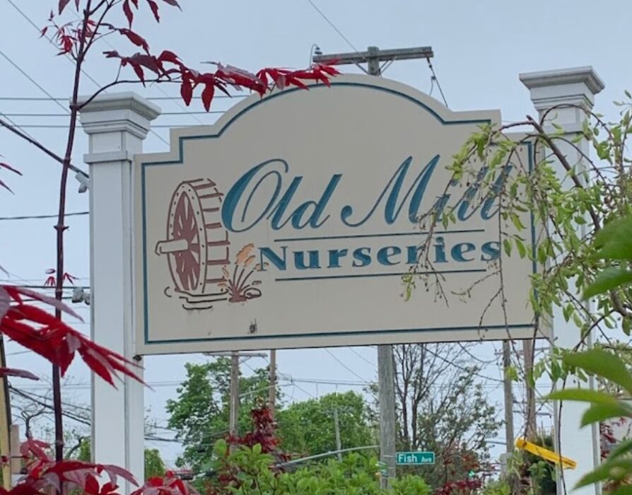 old mill nurseries nueva york