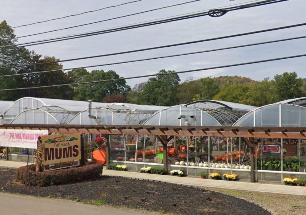 pleasant valley greenhouses and nursery inc nueva york