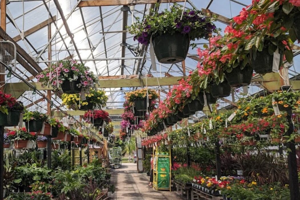 saras garden center nueva york