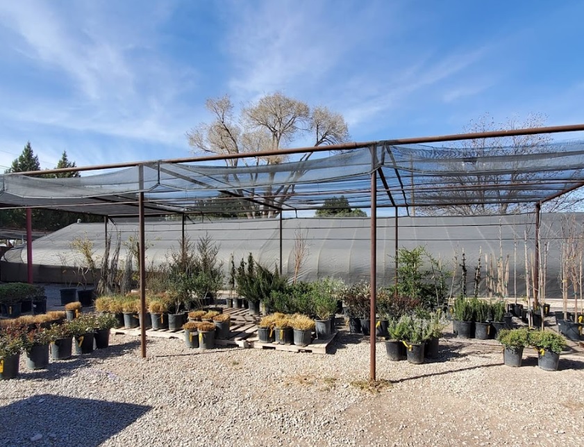 sun country homes and gardens nuevo mexico