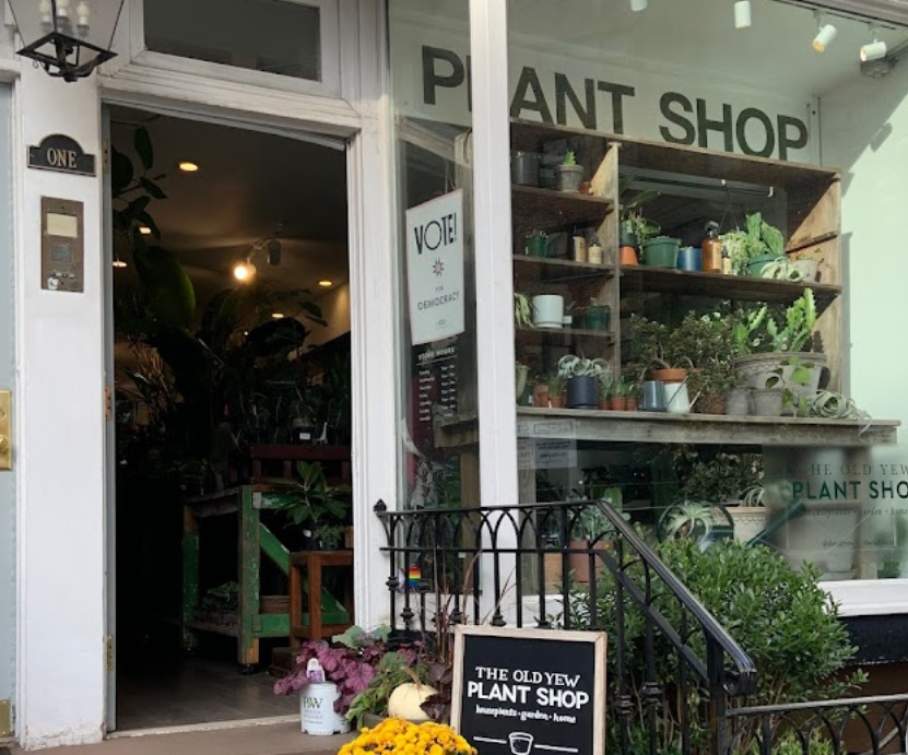 the old yew plant shop nueva york