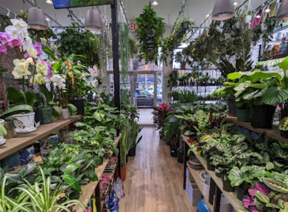 united garden center nueva york