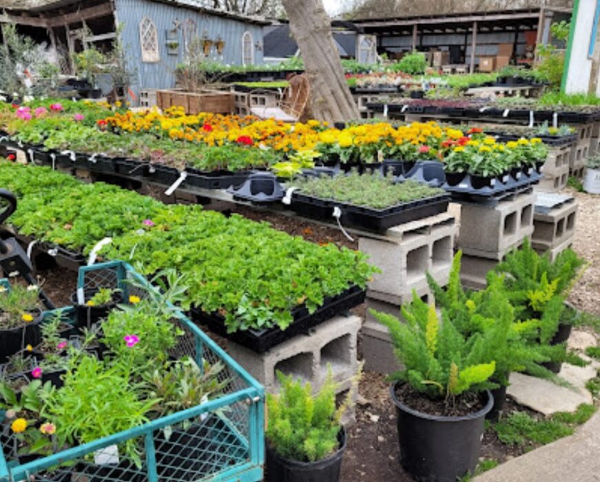 bonnies greenhouse texas