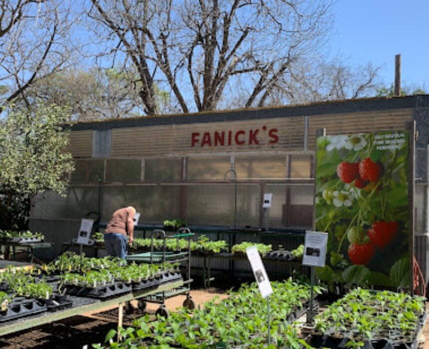 fanicks garden center texas
